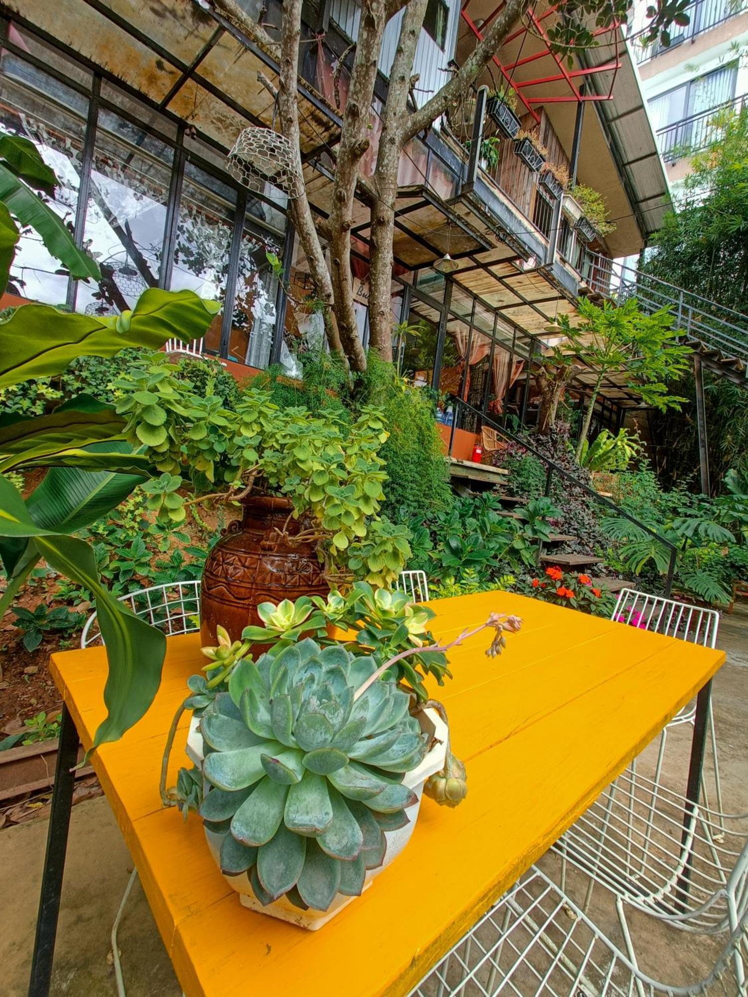 Lalaland Homestay Da Lat Quarto foto